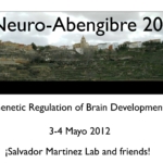 Neuroabengibre 2012